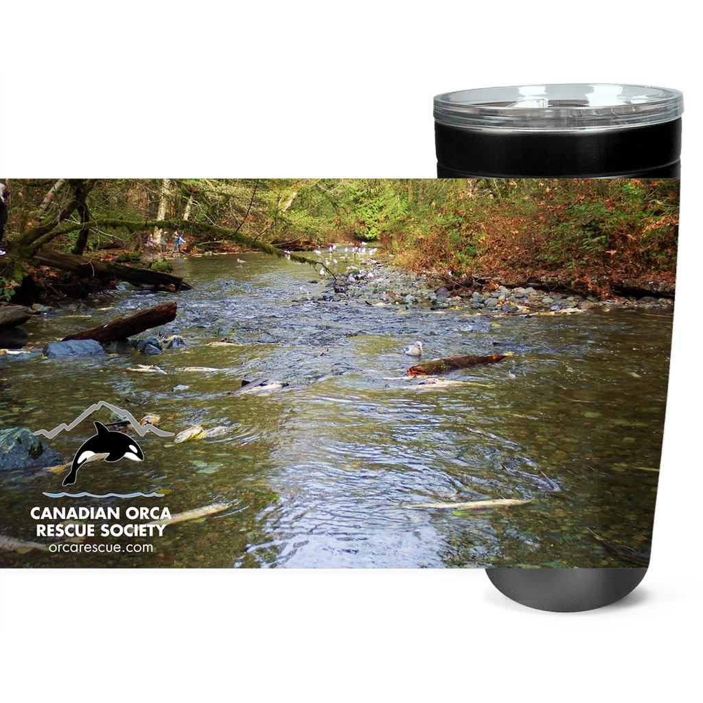 Goldstream Tumbler