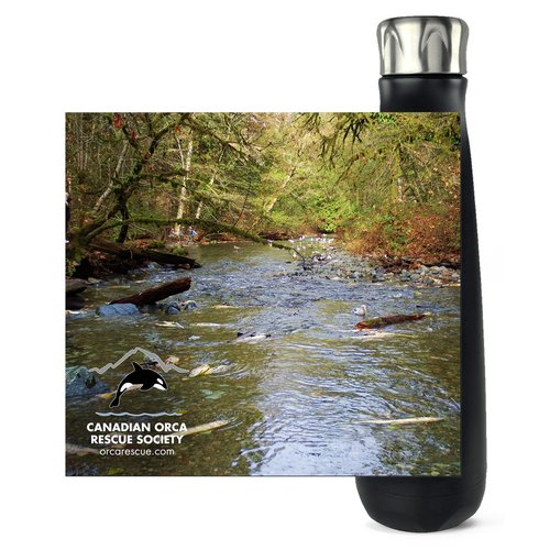 Goldstream Spawning Grounds Water Bottles