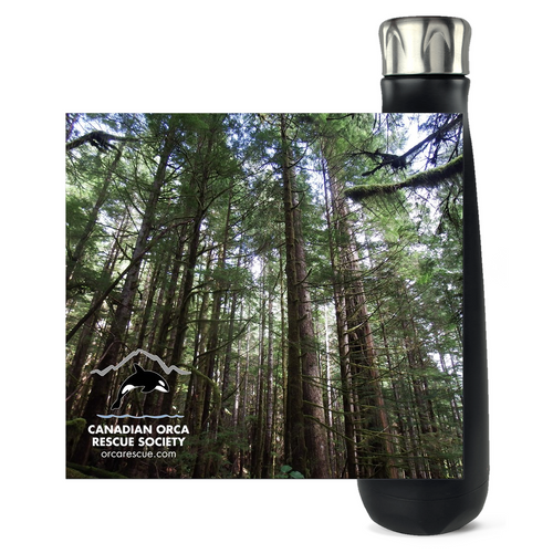 Tall Tree Water Bottle