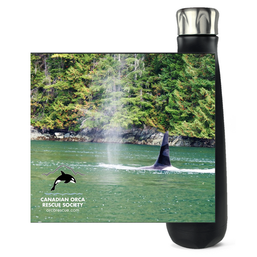 Orca water bottle 2