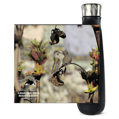 2 Hummingbirds Water Bottles