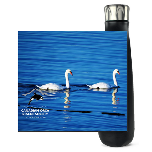 Swans Water Bottle