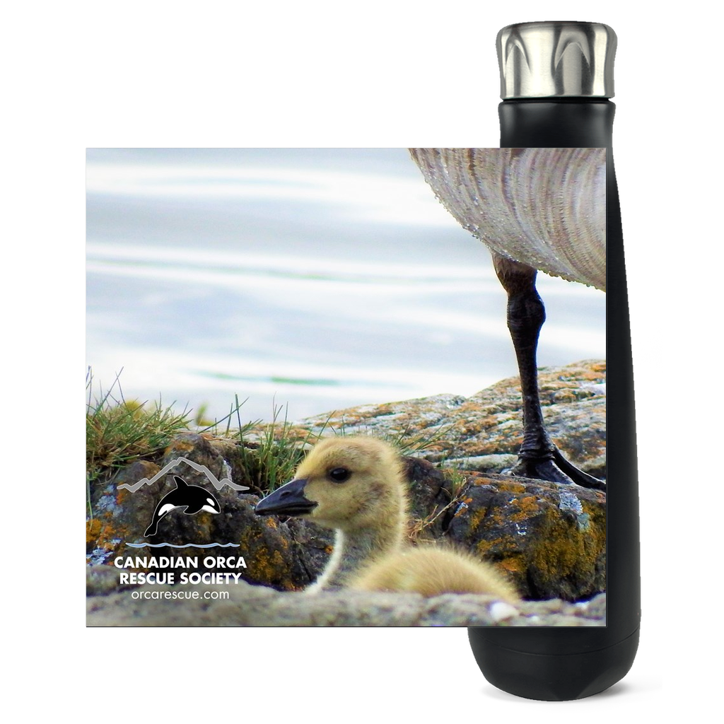 Gosling Water Bottle