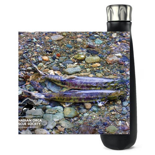 Salmon Water Bottle