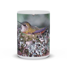 Load image into Gallery viewer, Rufous Hummingbird in Nest