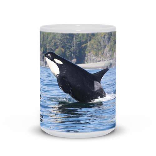Sunny Leaping Orca Mug
